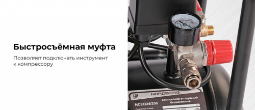 Компрессор безмасляный 220 В, ресивер 24 л, 250 л/мин